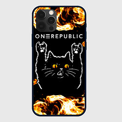 Чехол для iPhone 12 Pro Max OneRepublic рок кот и огонь, цвет: 3D-черный