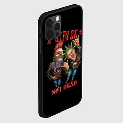 Чехол для iPhone 12 Pro Max Punks Not Dead - панки хой, цвет: 3D-черный — фото 2