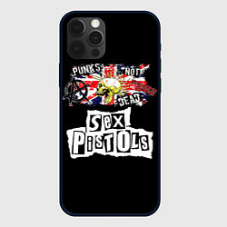 Чехол для iPhone 12 Pro Max Sex Pistols - punks not dead, цвет: 3D-черный
