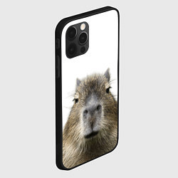 Чехол для iPhone 12 Pro Max Капибара пофигист, цвет: 3D-черный — фото 2