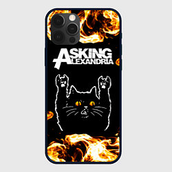 Чехол для iPhone 12 Pro Max Asking Alexandria рок кот и огонь, цвет: 3D-черный