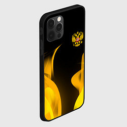 Чехол для iPhone 12 Pro Max Russian style fire, цвет: 3D-черный — фото 2