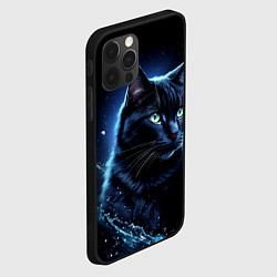 Чехол для iPhone 12 Pro Max Черный кот - брызги воды, цвет: 3D-черный — фото 2