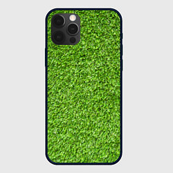 Чехол для iPhone 12 Pro Max Зелёный газон, цвет: 3D-черный