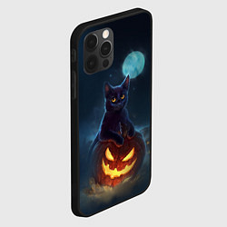 Чехол для iPhone 12 Pro Max Кот с тыквой - хэллоуин, цвет: 3D-черный — фото 2
