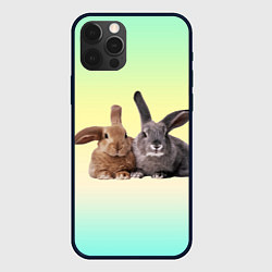 Чехол для iPhone 12 Pro Max Два пушистых кролика, цвет: 3D-черный