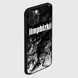 Чехол для iPhone 12 Pro Max Limp Bizkit black graphite, цвет: 3D-черный — фото 2