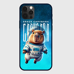 Чехол iPhone 12 Pro Max Space capybara