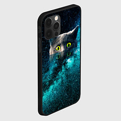 Чехол для iPhone 12 Pro Max Космос и кот, цвет: 3D-черный — фото 2