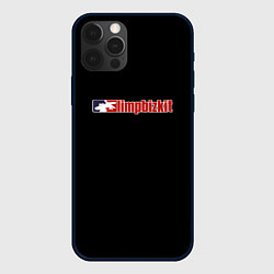 Чехол для iPhone 12 Pro Max Limp Bizkit logo rock, цвет: 3D-черный