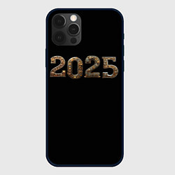 Чехол для iPhone 12 Pro Max Металическая надпись 2025 год в стиле стимпанк, цвет: 3D-черный