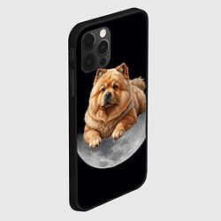 Чехол для iPhone 12 Pro Max Чау-чау палевый и луна, цвет: 3D-черный — фото 2