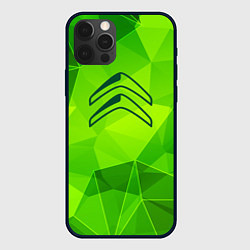 Чехол для iPhone 12 Pro Max Citroen green poly, цвет: 3D-черный