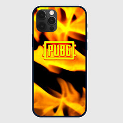 Чехол для iPhone 12 Pro Max PUBG fire steel, цвет: 3D-черный