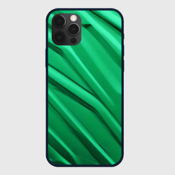 Чехол для iPhone 12 Pro Max Зелёный пластик, цвет: 3D-черный