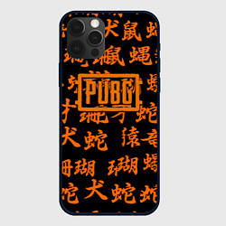 Чехол для iPhone 12 Pro Max PUBG japan steel, цвет: 3D-черный