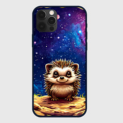 Чехол для iPhone 12 Pro Max Ежик и звездное небо, цвет: 3D-черный
