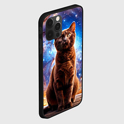 Чехол для iPhone 12 Pro Max Бурма в космосе, цвет: 3D-черный — фото 2