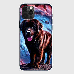Чехол для iPhone 12 Pro Max Ньюфаундленд в космосе, цвет: 3D-черный