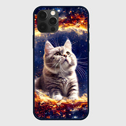 Чехол для iPhone 12 Pro Max Кошка шиншилла в космосе, цвет: 3D-черный