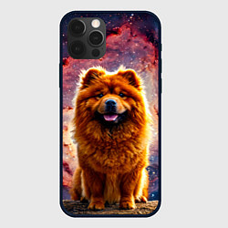Чехол для iPhone 12 Pro Max Чау-чау в космосе, цвет: 3D-черный
