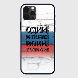Чехол для iPhone 12 Pro Max Воин веры, цвет: 3D-черный