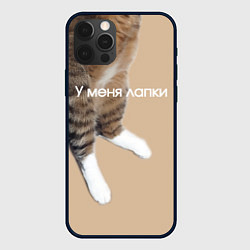 Чехол для iPhone 12 Pro Max У меня лапки кот Марс, цвет: 3D-черный