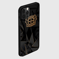 Чехол для iPhone 12 Pro Max Bayer 04 golden poly, цвет: 3D-черный — фото 2