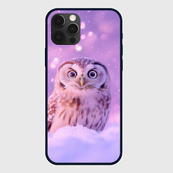 Чехол для iPhone 12 Pro Max Удивленная сова, цвет: 3D-черный