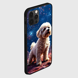 Чехол для iPhone 12 Pro Max Бишон в космосе, цвет: 3D-черный — фото 2