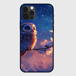 Чехол для iPhone 12 Pro Max Сова на фоне ночного неба, цвет: 3D-черный