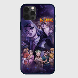 Чехол для iPhone 12 Pro Max Доктор Камень, цвет: 3D-черный