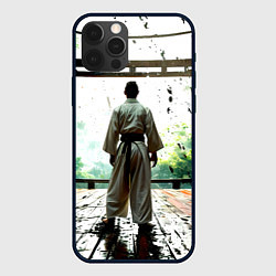 Чехол для iPhone 12 Pro Max Боец айкидо в Японии, цвет: 3D-черный