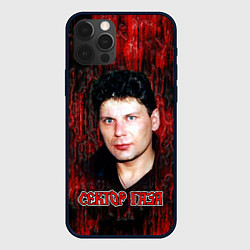 Чехол для iPhone 12 Pro Max Сектор газа фото Юрий Хой, цвет: 3D-черный