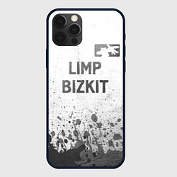 Чехол для iPhone 12 Pro Max Limp Bizkit - white gradient посередине, цвет: 3D-черный