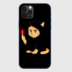 Чехол iPhone 12 Pro Max Котик ситх