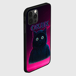 Чехол для iPhone 12 Pro Max Окак мем с черным котом, цвет: 3D-черный — фото 2