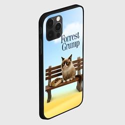 Чехол для iPhone 12 Pro Max Пародия Форрест Гамп - кот на скамейке, цвет: 3D-черный — фото 2