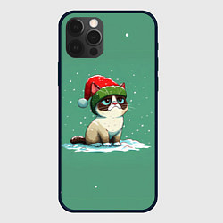 Чехол iPhone 12 Pro Max Новогодний мем котик
