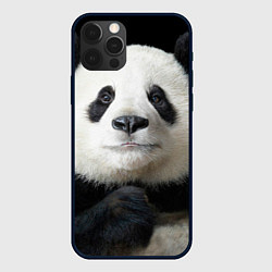 Чехол для iPhone 12 Pro Max Взгляд пандочки, цвет: 3D-черный