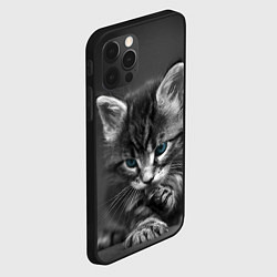 Чехол для iPhone 12 Pro Max Голубоглазый котенок, цвет: 3D-черный — фото 2