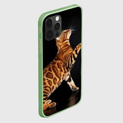 Чехол для iPhone 12 Pro Max Бенгальская кошка, цвет: 3D-салатовый — фото 2