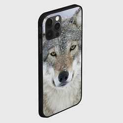 Чехол для iPhone 12 Pro Милый волк, цвет: 3D-черный — фото 2