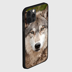 Чехол для iPhone 12 Pro Волк таежный, цвет: 3D-черный — фото 2
