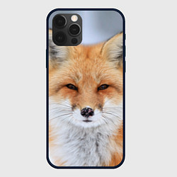 Чехол для iPhone 12 Pro Хитрая лиса, цвет: 3D-черный