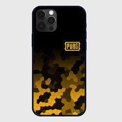 Чехол для iPhone 12 Pro PUBG: Military Honeycomb, цвет: 3D-черный