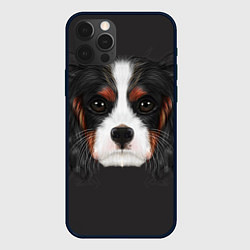 Чехол для iPhone 12 Pro Cavalier King Charles, цвет: 3D-черный