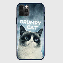 Чехол для iPhone 12 Pro Grumpy Cat, цвет: 3D-черный