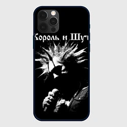 Чехол для iPhone 12 Pro Король и Шут Анархия спина, цвет: 3D-черный
