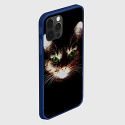 Чехол для iPhone 12 Pro Зеленоглазый кот, цвет: 3D-тёмно-синий — фото 2